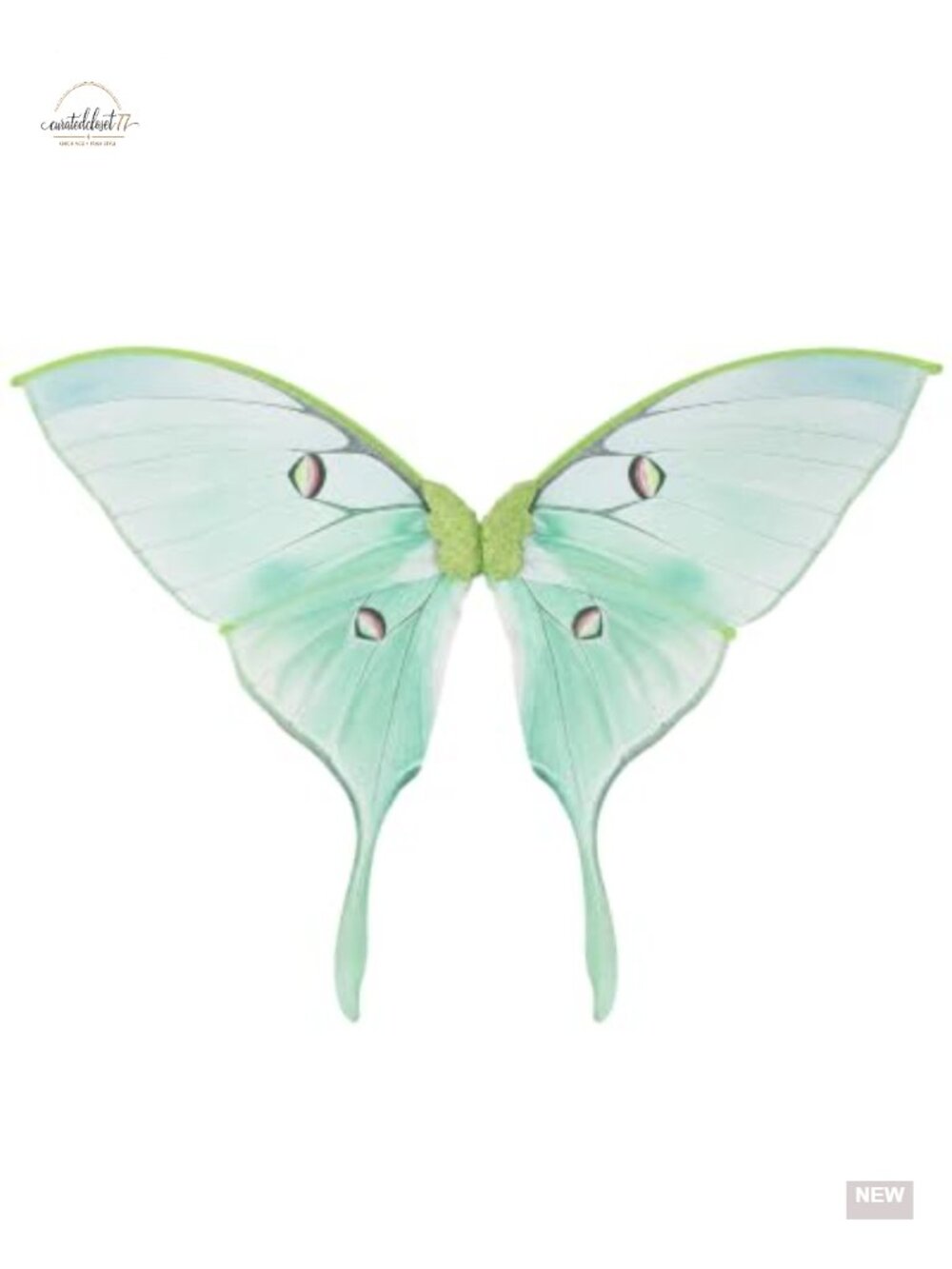 Fairy Wings Costume for Women - Transparent Organza Halloween Cosplay Props